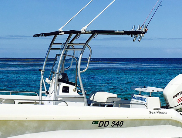 โปรโมชั่น! Dolphin Pro2 คอนโซล - Fishing Rod Holder บทวิจารณ์และราคา